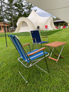 ZipDee CHAIR col.4755 [Pacific Blue Fancy] – ZipDee Awning & Chair